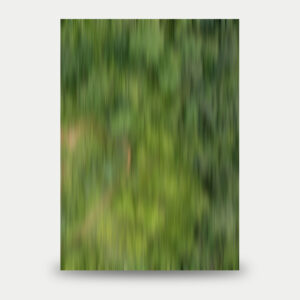 Diorama Base Motion Blur Forest